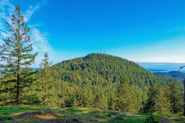 Green funerals in Anacortes, WA