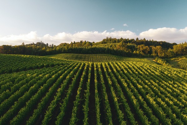 Green funerals in Aurora, OR