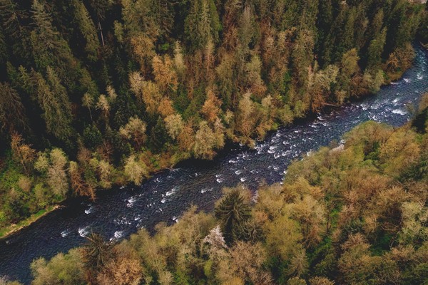 Green funerals in Black Diamond, WA