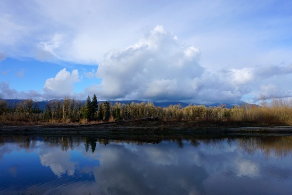 Green funerals in Burlington, WA