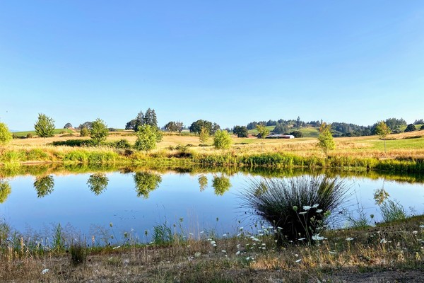 Green funerals in Dundee, OR