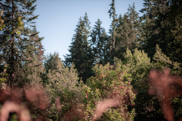 Green funerals in Eugene , OR