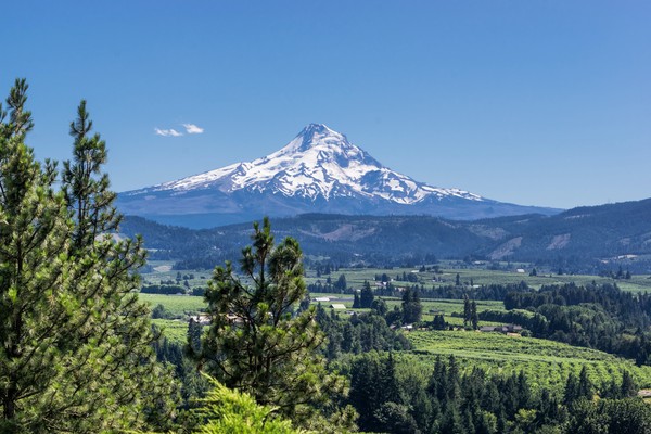 Green funerals in Fairview, OR