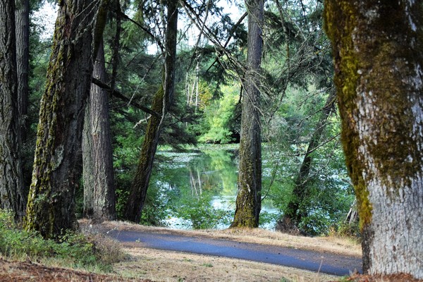 Green funerals in Fircrest, WA