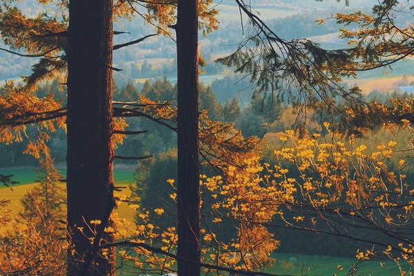 Green funerals in Hillsboro , OR