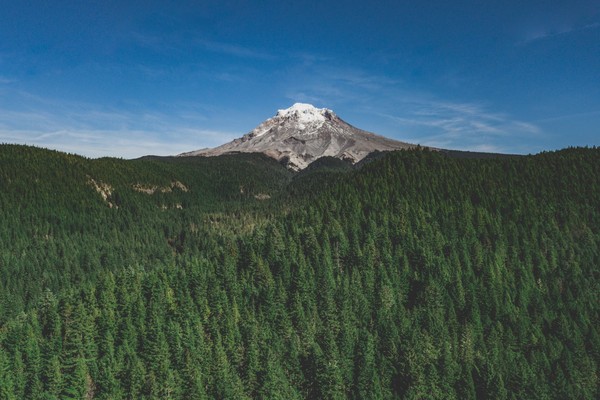 Green funerals in Johnson City, OR