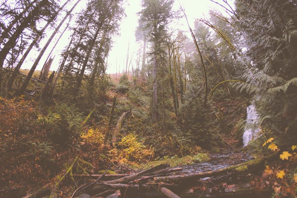Green funerals in McMinnville , OR