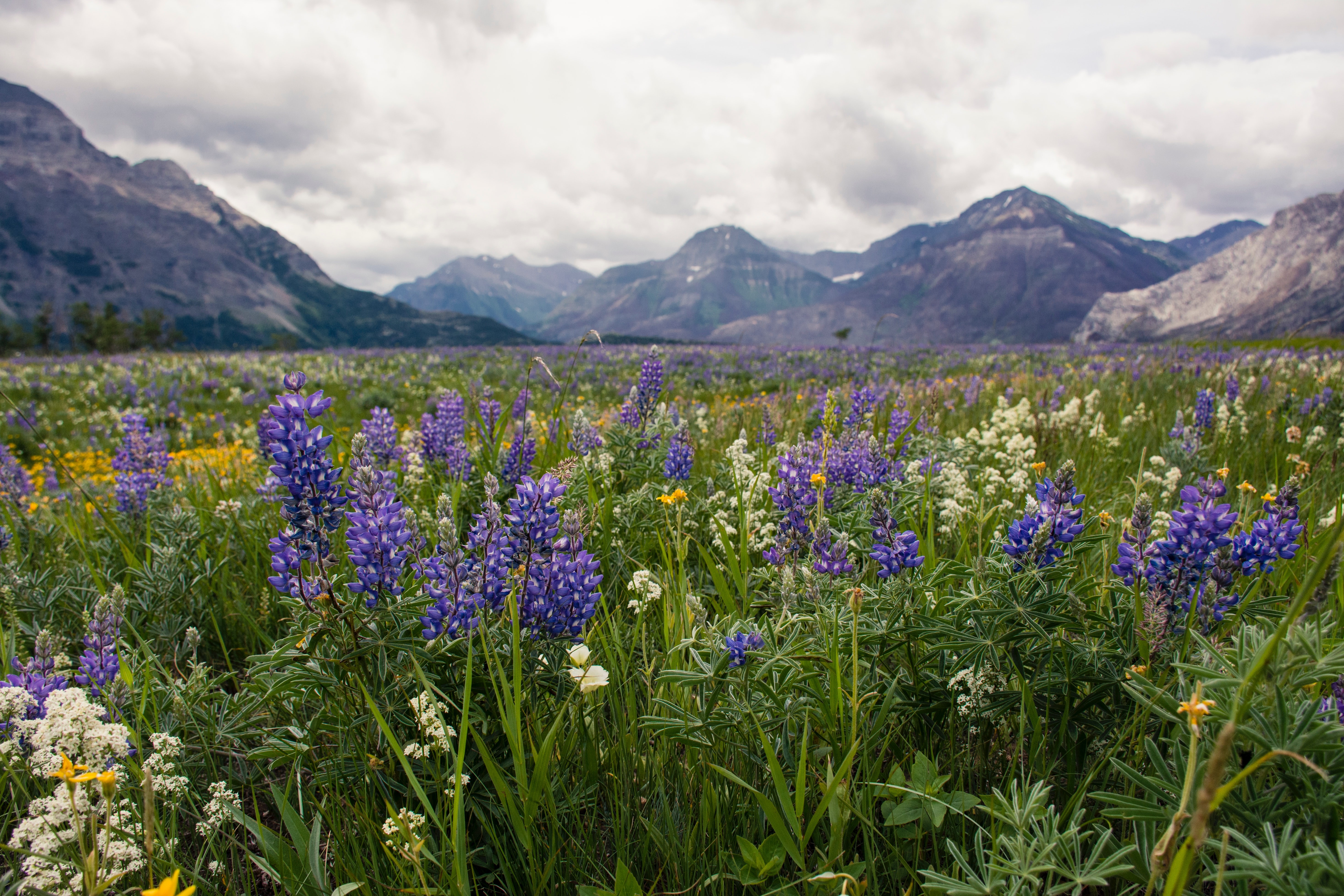 Mountain range landscape