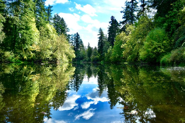 Green funerals in Tualatin, OR