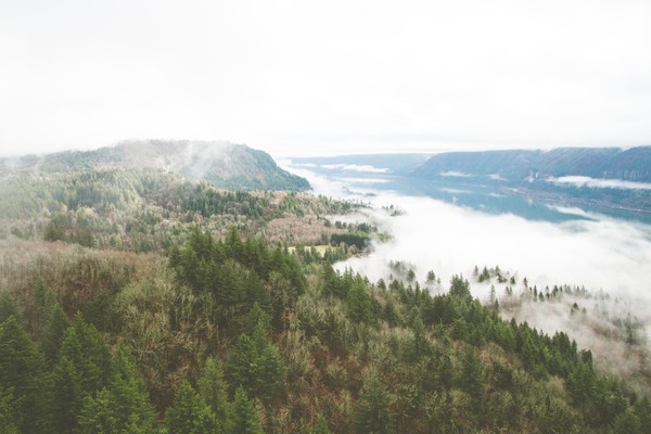 Green funerals in Washougal, WA