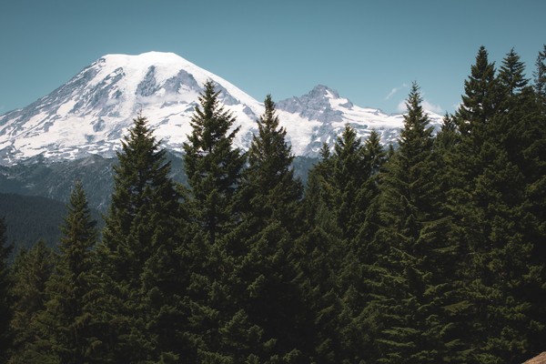 Green funerals in Wilkeson, WA